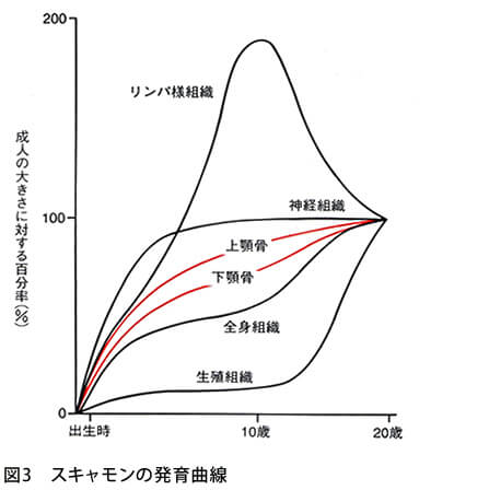 図3 スキャモンの発育曲線